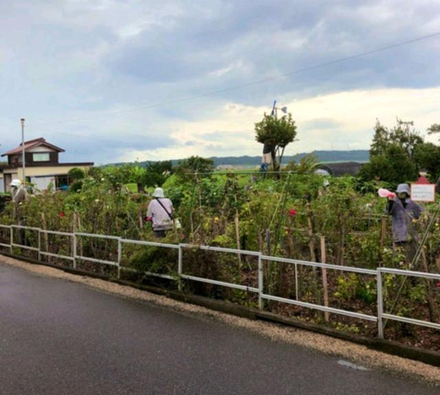日本“诡异”乡村，远看似有几百人却没有一个活的，游客常被吓到