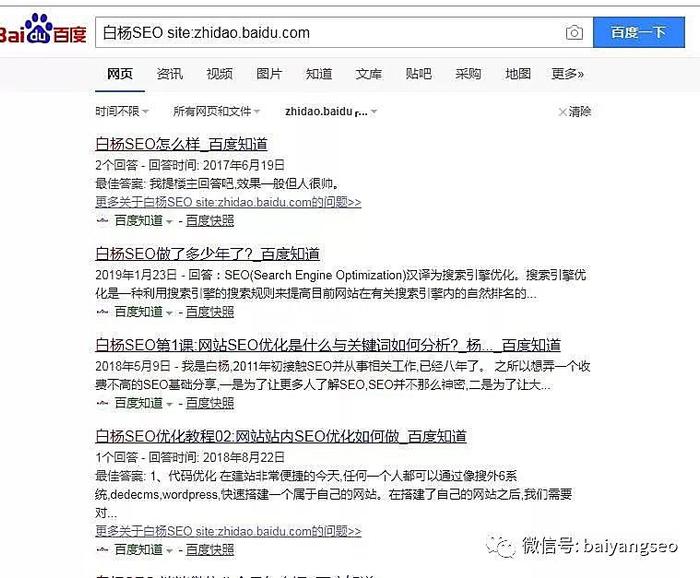 白杨SEO揭秘，有哪些鲜为人知的搜索技巧可以助你快速成长？  第1张