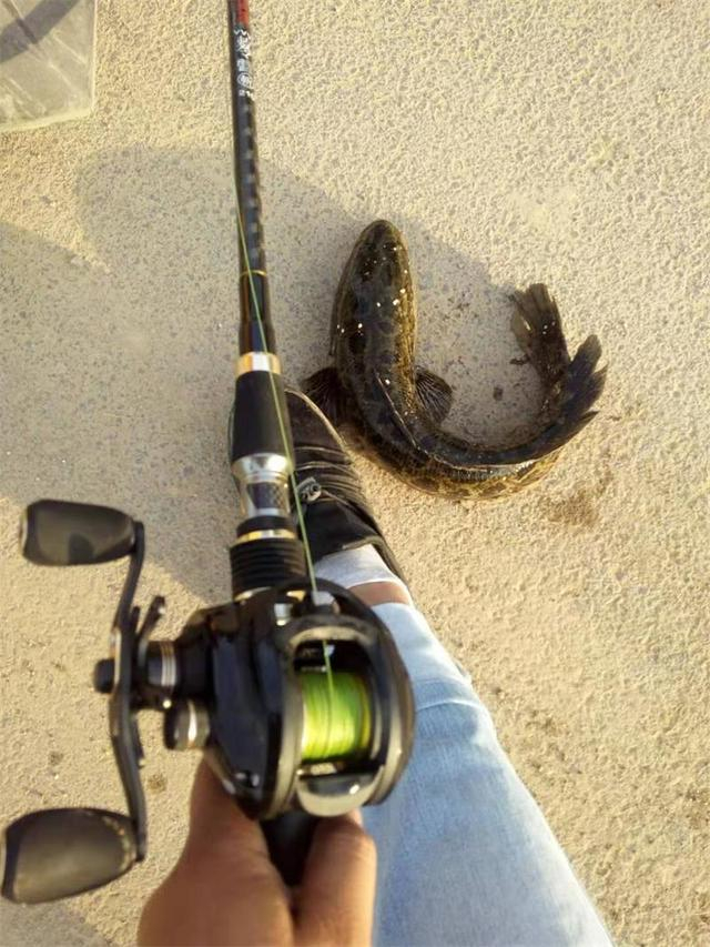 记者发现：2025年周庄野钓在哪里收费最划算？全流程避坑攻略，帮你省一半预算