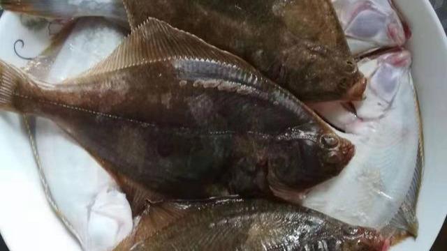 海边岸钓鱼类，用什么饵料？提高鱼获必须看看