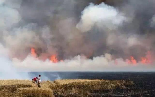 近日，美国多地有如“火灾”一般，几十州美国人都在过桑拿天气