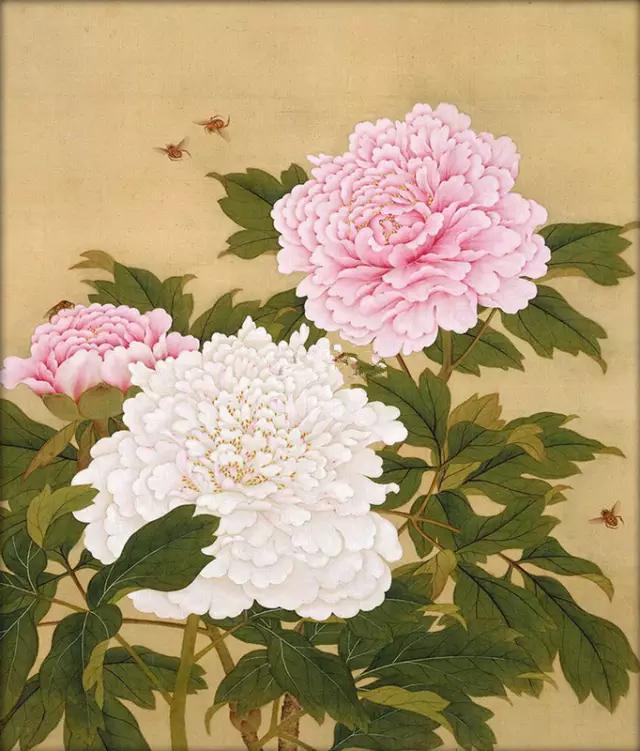 国画珍藏！历代名家画牡丹：花开富贵，国色天香