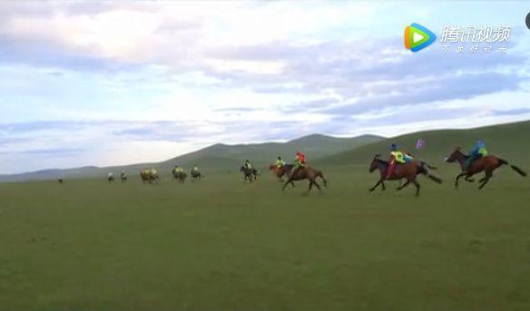赤峰巴林右旗特木尔巴根，守住纯正的蒙古马