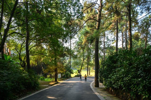 浙江湖州值得一去的景点：安吉中南百草园，拥有百余种珍贵动植物