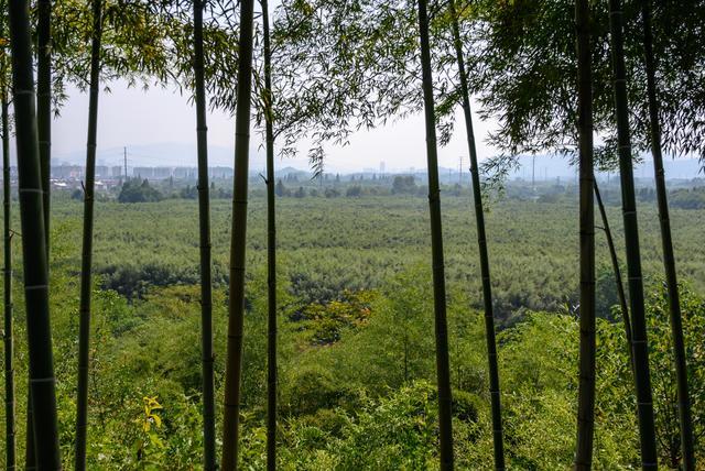 浙江湖州值得一去的景点：安吉中南百草园，拥有百余种珍贵动植物