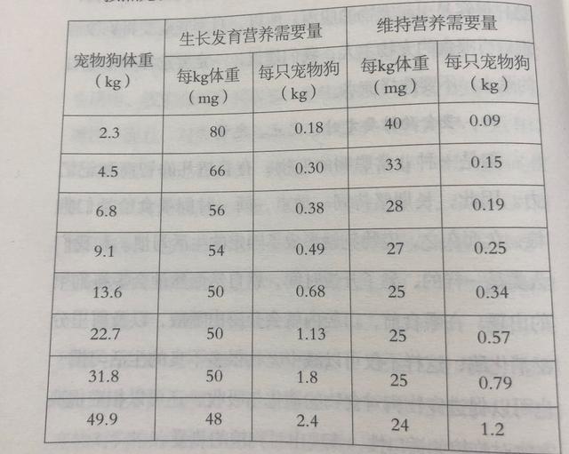 3分钟，告诉你关于狗粮的正确喂法
