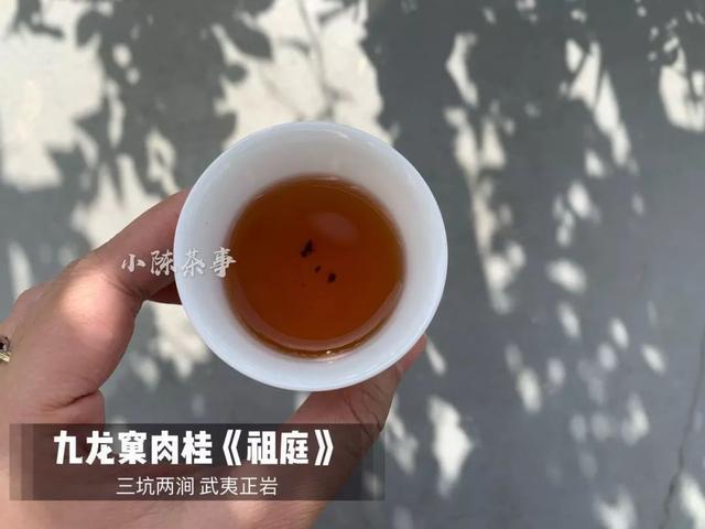 除了牛栏坑肉桂，岩茶就没有好茶了？看来大多数茶人薄待了水仙