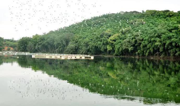 广西玉林博白县四个值得一去的旅游景点，爱旅游的朋友不要错过了