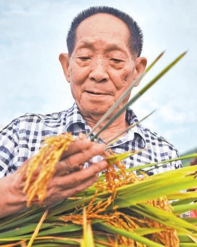 袁隆平在海南育种，因一件事，学员们都认定他是杂交稻的总设计师