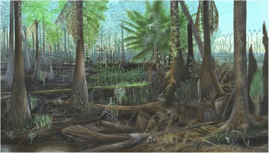 为什么石炭纪会出现身长接近3米的巨型蜈蚣？真是太可怕了？