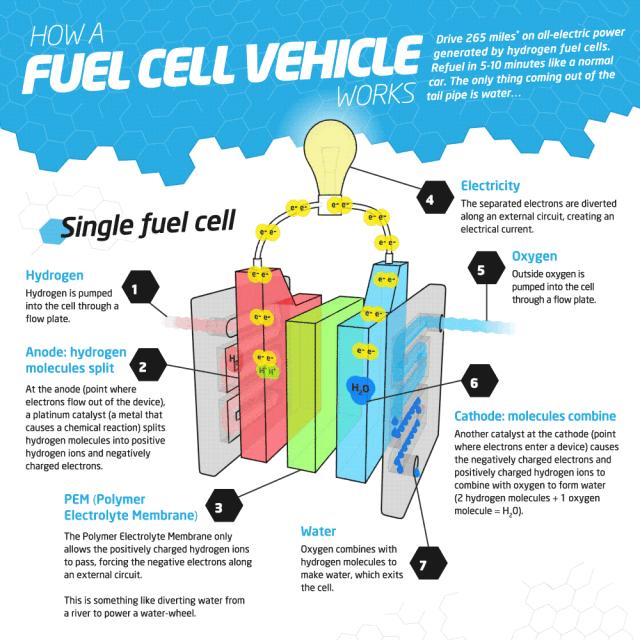 进博会上的汽车新能源：现代的氢燃料