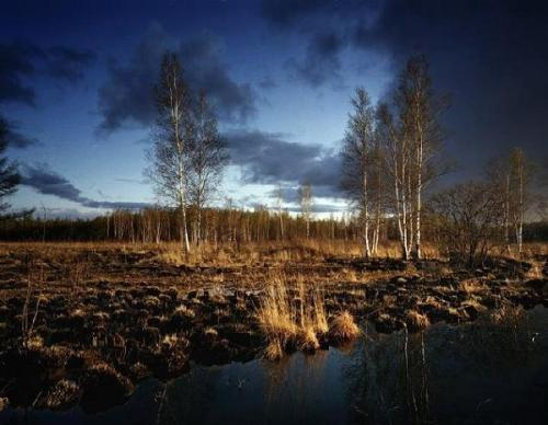 为什么石炭纪会出现身长接近3米的巨型蜈蚣？真是太可怕了？