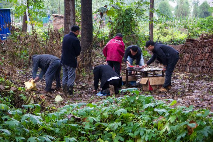 皖北民俗上喜坟，供奉一桌菜肴果蔬，还有大小上坟之分