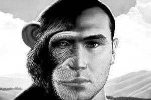 黑猩猩和人类基因相似度达99.4%，为什么他们不是人属类？