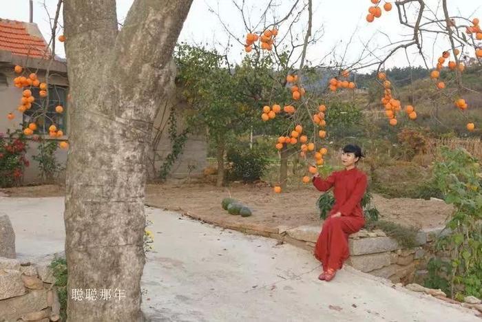 在五彩缤纷的深秋风景中，感受诗画般的黄海之滨