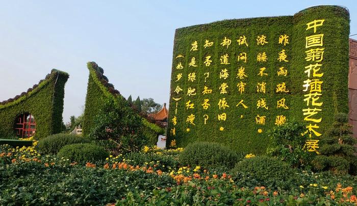 第八届中国菊花插花艺术展开幕，开封花艺师勇夺一等奖