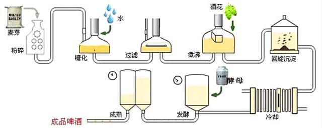 黄啤、白啤、黑啤、绿啤和红啤，它们有什么区别，哪种更好喝？