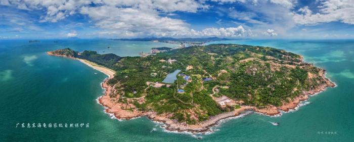 营地推荐 ： 我要你陪着我，看着那海龟水中游——海龟湾房车营地