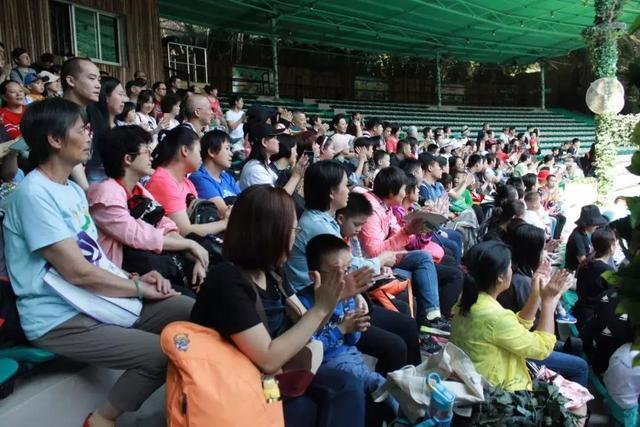 让“碍”被看见，知更鸟携手长隆集团圆自闭症家庭无障碍旅游梦