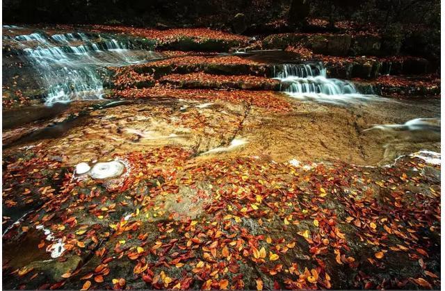 云南周边旅游：彝良小草坝，云县白莺山，红河大围山，黑河老坡