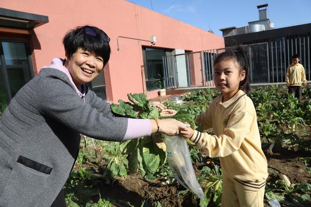 乐坏“小农夫”北京第二实验小学朝阳学校小菜园衍生“大德育”