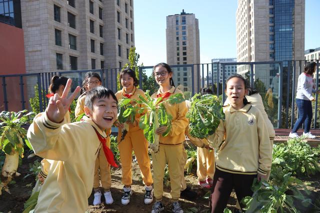 乐坏“小农夫”北京第二实验小学朝阳学校小菜园衍生“大德育”