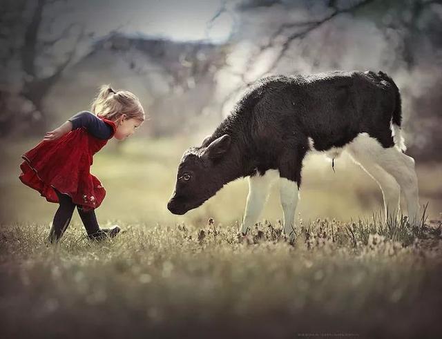 俄罗斯摄影师Elena Shumilova镜头下的孩子与农场