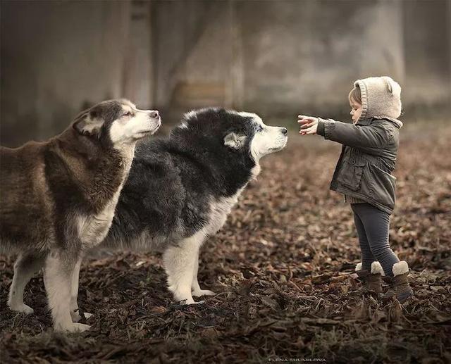 俄罗斯摄影师Elena Shumilova镜头下的孩子与农场