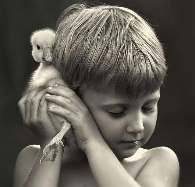 俄罗斯摄影师Elena Shumilova镜头下的孩子与农场
