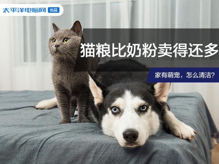 猫粮比奶粉卖得还多，家有萌宠，怎么清洁？