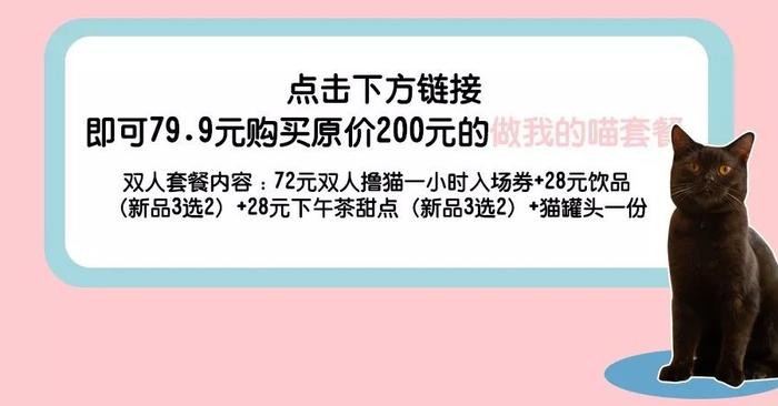 报告！在长沙发现喵星人的地球中转站！免费吸！