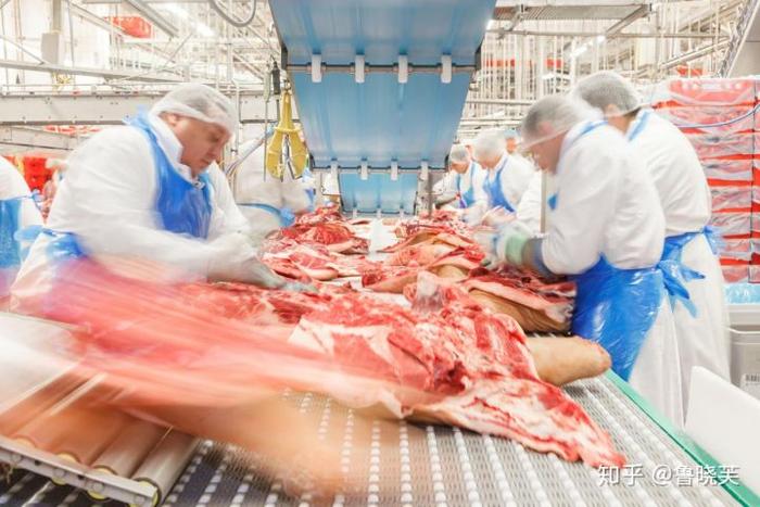 猪肉价格飙升之时，德国养猪巨头驰援中国，带来过硬技术