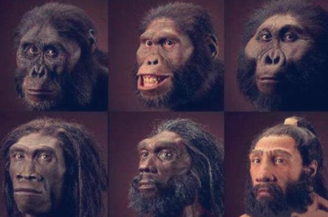人类和黑猩猩有共同祖先，但我们的染色体却少一对，这是为什么？