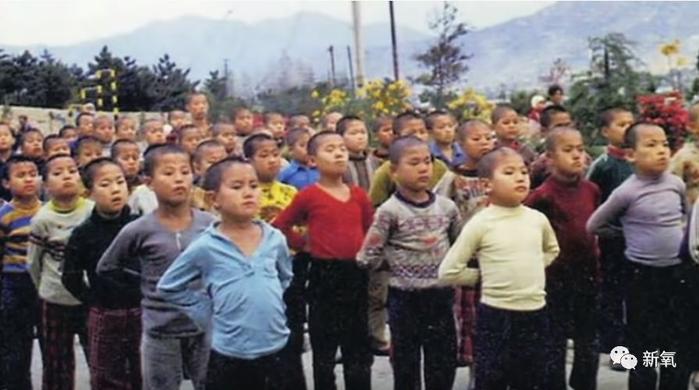 韩国再现惊天丑闻，现代版集中营贩卖儿童获利200亿、过度奴役