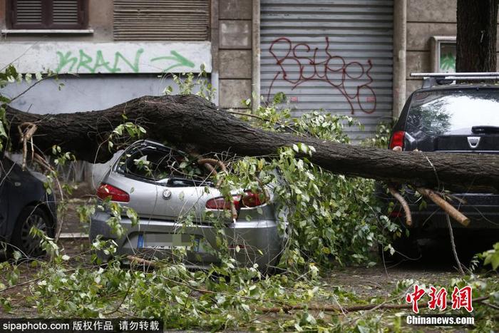 意大利多地遭遇暴雨 罗马树木被连根拔起砸中汽车意大利多地遭遇暴雨 罗马树木被连根拔起砸中汽车