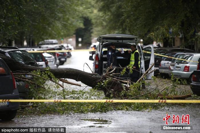 意大利多地遭遇暴雨 罗马树木被连根拔起砸中汽车意大利多地遭遇暴雨 罗马树木被连根拔起砸中汽车