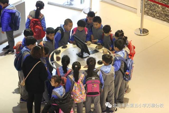 北京丰台第五小学万柳分校探索神奇的地质奥秘走进房山地质博物馆