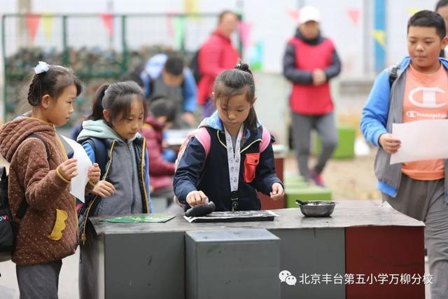 北京丰台第五小学万柳分校探索神奇的地质奥秘走进房山地质博物馆