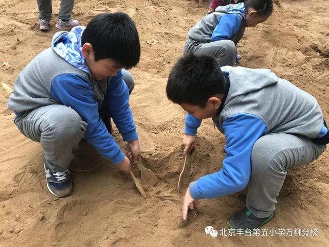 北京丰台第五小学万柳分校探索神奇的地质奥秘走进房山地质博物馆