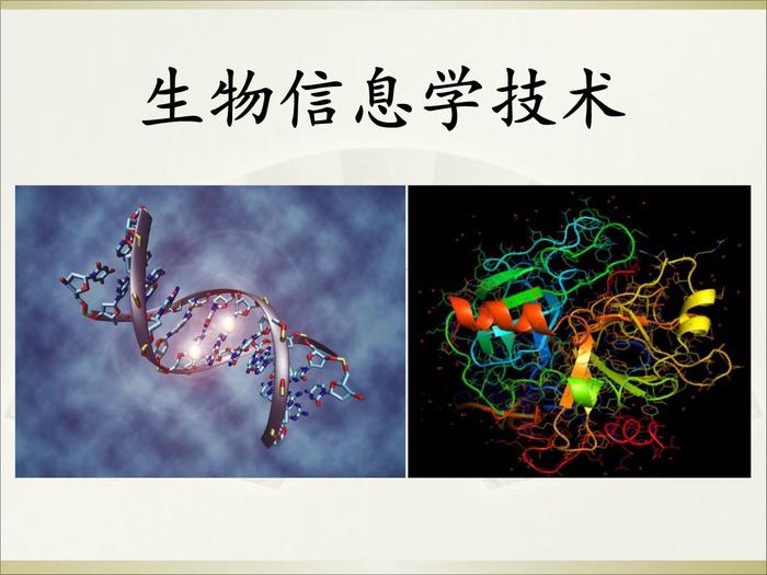 大学学生物信息学专业，都说生物专业就业不好，怎么办？