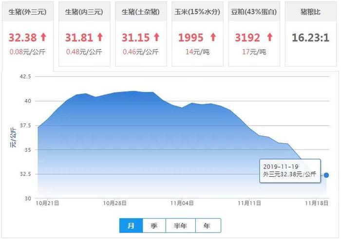 【11月19日猪价】外三元生猪价格、仔猪价格、猪白条肉价格！