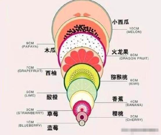 生娃时，宫口开十指到底什么样，这几种模拟图很直观，真不容易