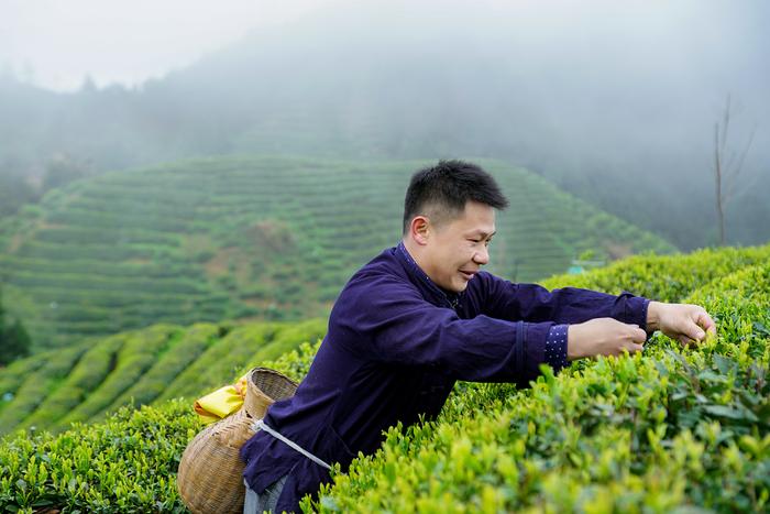 宇尘说车│吉利携手网易严选，让“爱”在雷山生根发芽