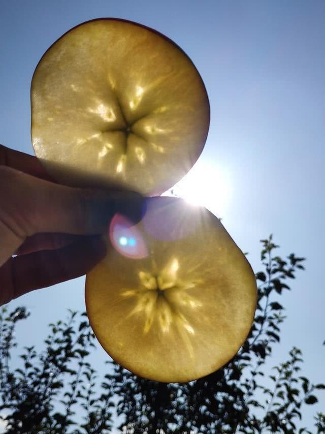 “因祸得福”的苹果，得了一种病，却成了受欢迎的冰糖心