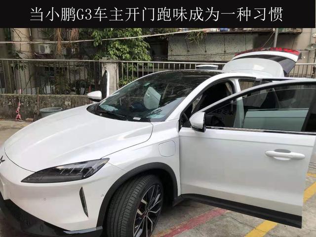 小鹏G3车主：忍受掉电、异味、故障的“惊喜”，广州车展它来了