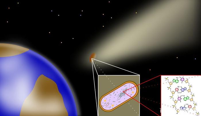 外星生命可能起源地球？科学家称，星际彗星或将生命带到另一星球