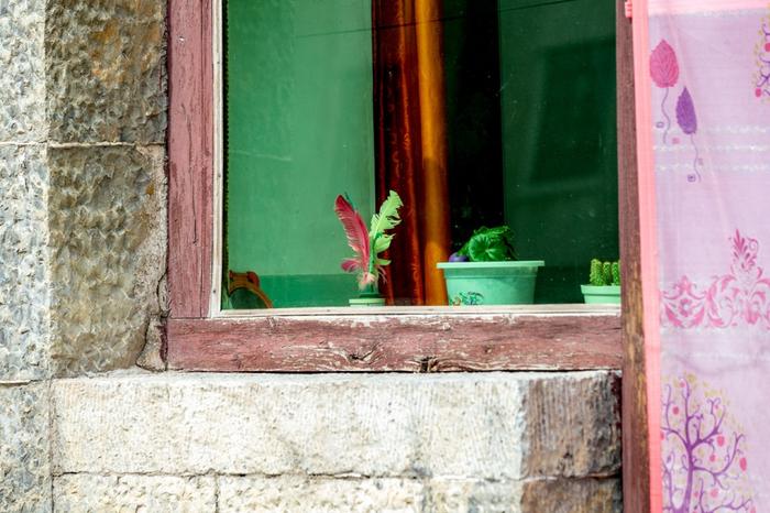 距离大寨最近的村庄：曾经的大寨红花，家家窗台上有不一样的风景