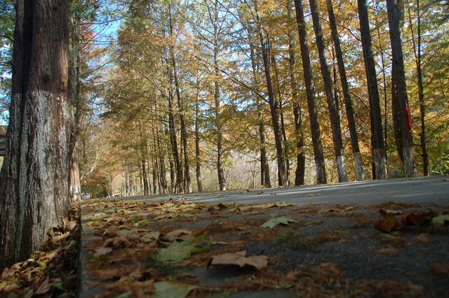 自驾中国最美公路高江路，车轮悬空差点掉河