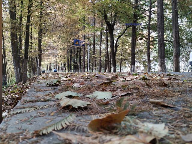 自驾中国最美公路高江路，车轮悬空差点掉河