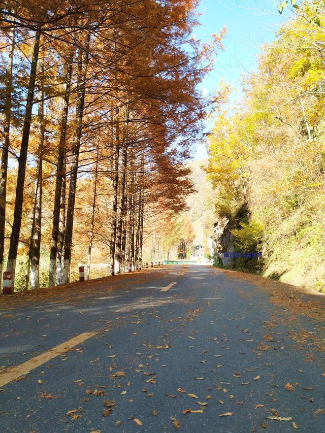 自驾中国最美公路高江路，车轮悬空差点掉河